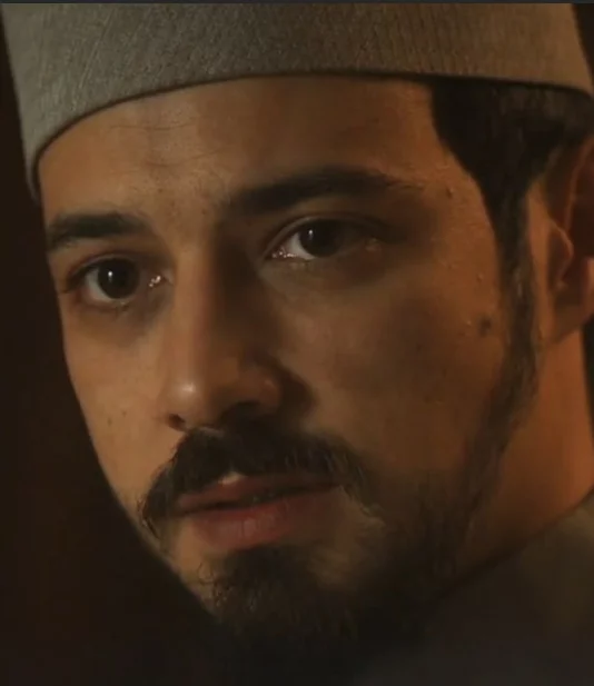 Красные бутоны 30 серия