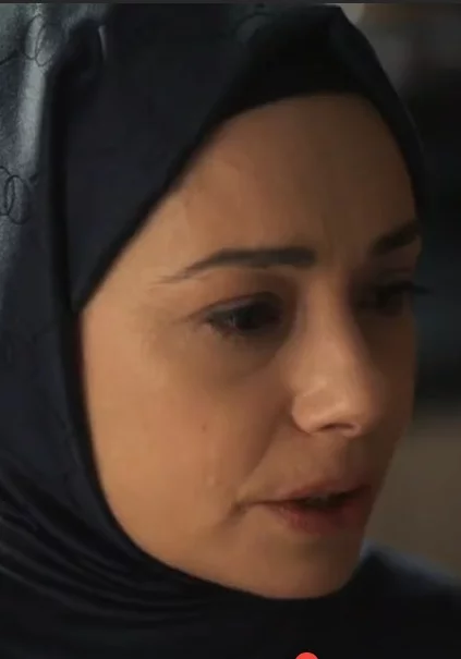 Красные бутоны 35 серия