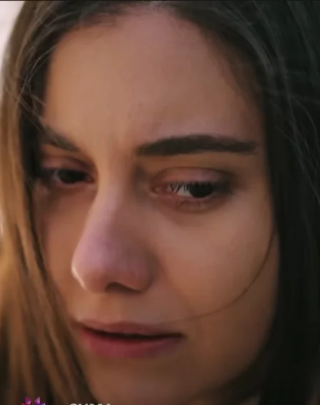 Зимородок 93 серия