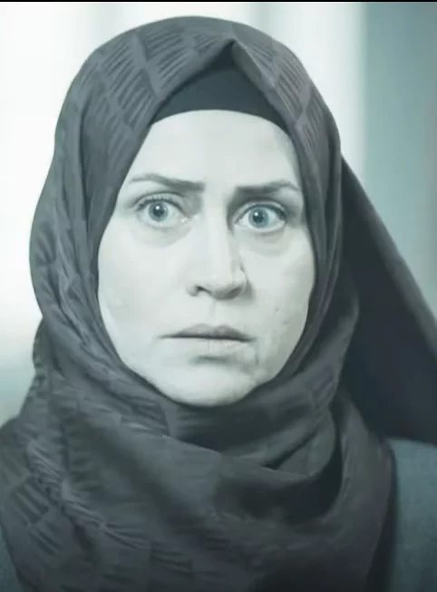 Красные бутоны 41 серия