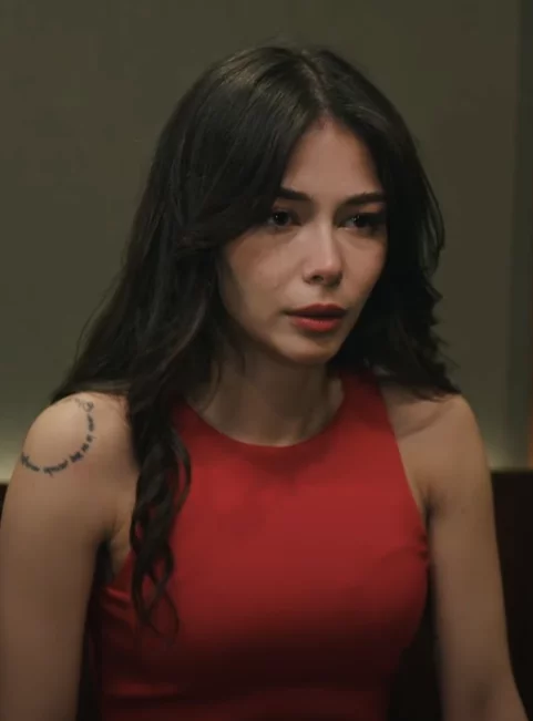 Зимородок 99 серия