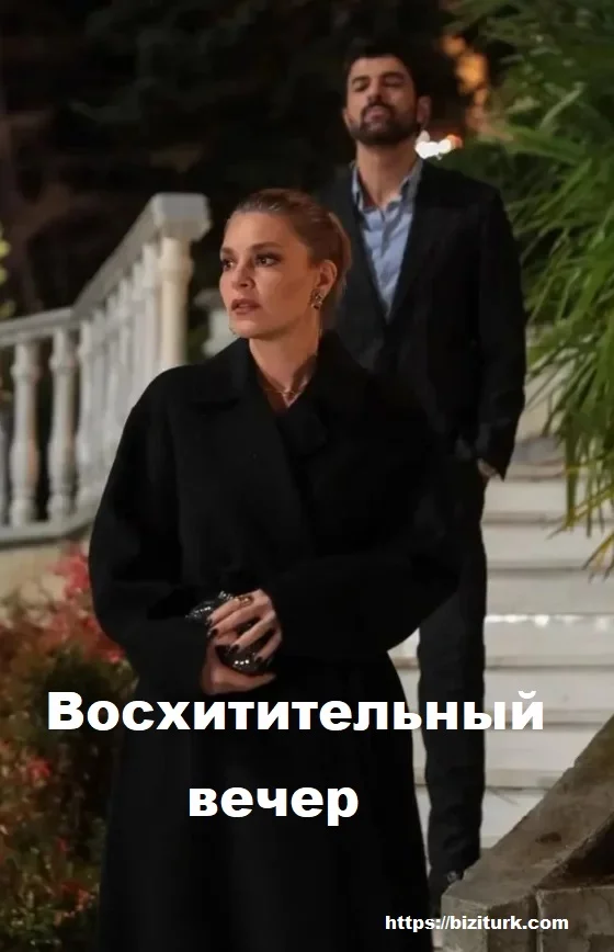 Восхитительный вечер (Enfes Bir Akşam)